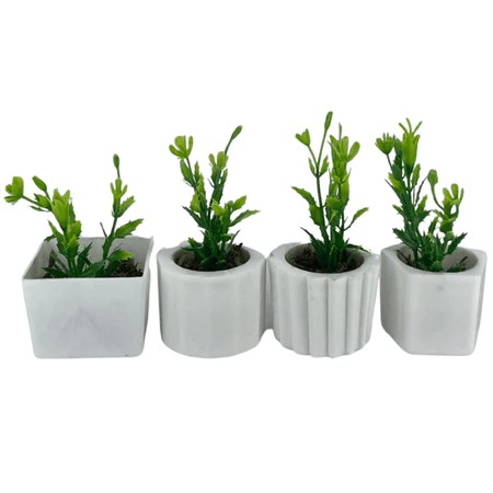 Kit de 4 Vasinhos com Plantinhas