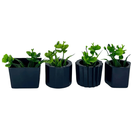 Kit de 4 Vasinhos com Plantinhas